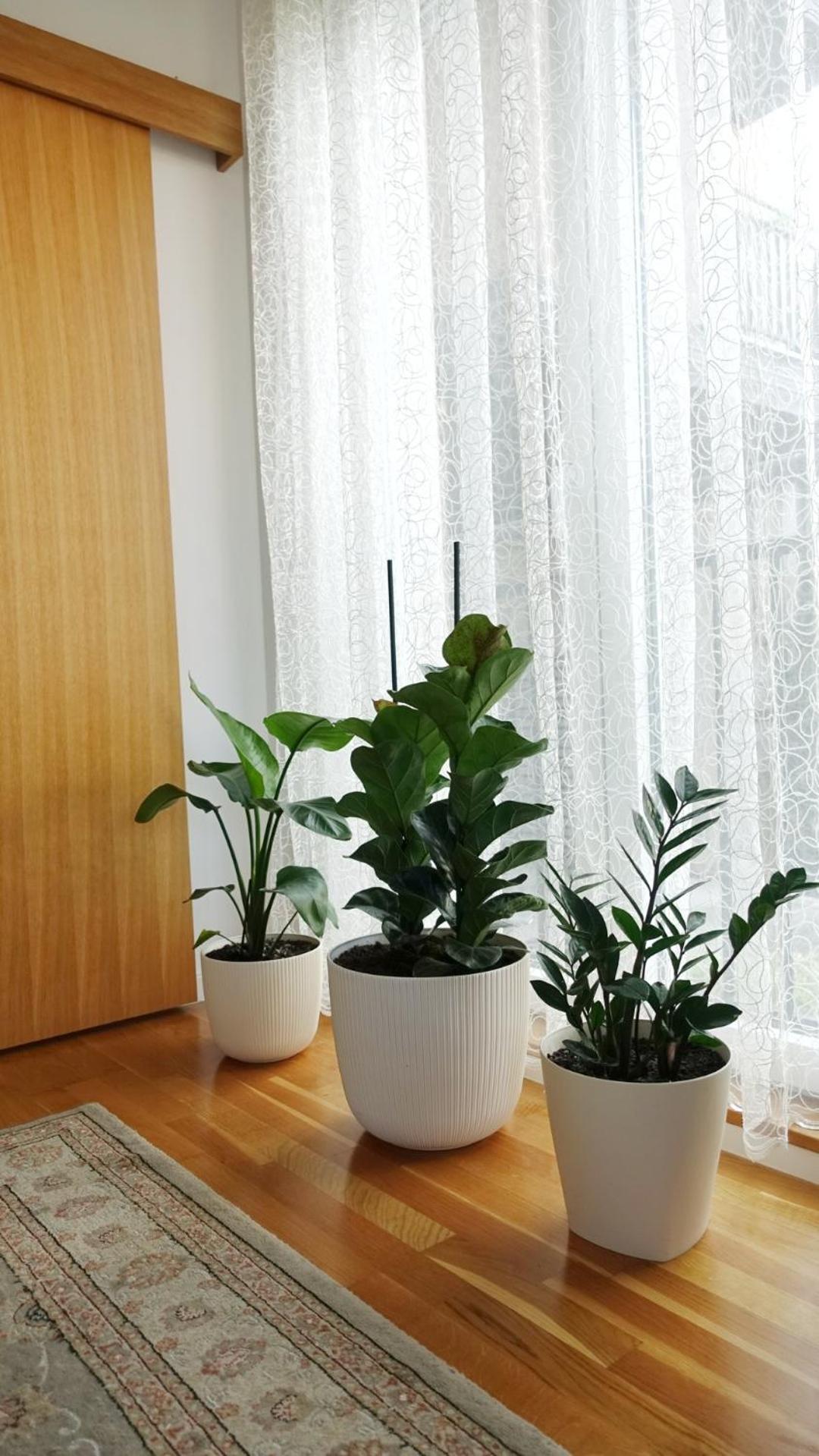 Jc10 Apartment 3 Bedroom, Free Parking, 73Sqm Novi Sad Exterior photo